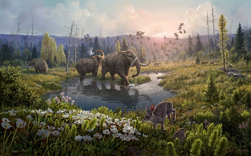 As� deb�a ser el norte de Groenlandia, uno de los puntos m�s cercanos al polo Norte, hace dos millones de a�os, seg�n el ADN de centenares de especies recuperado de la tierra.